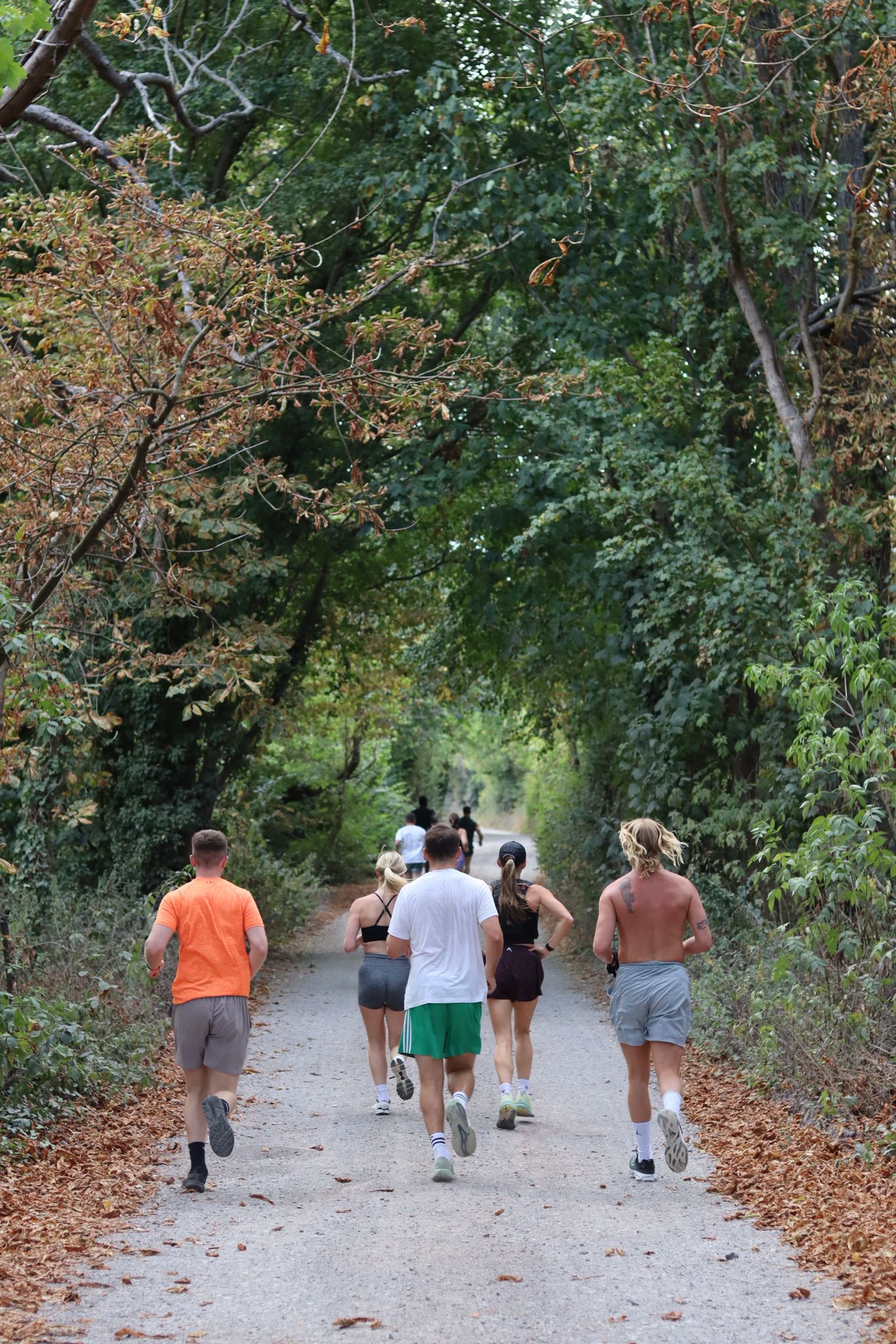 Run club on a woodland trail